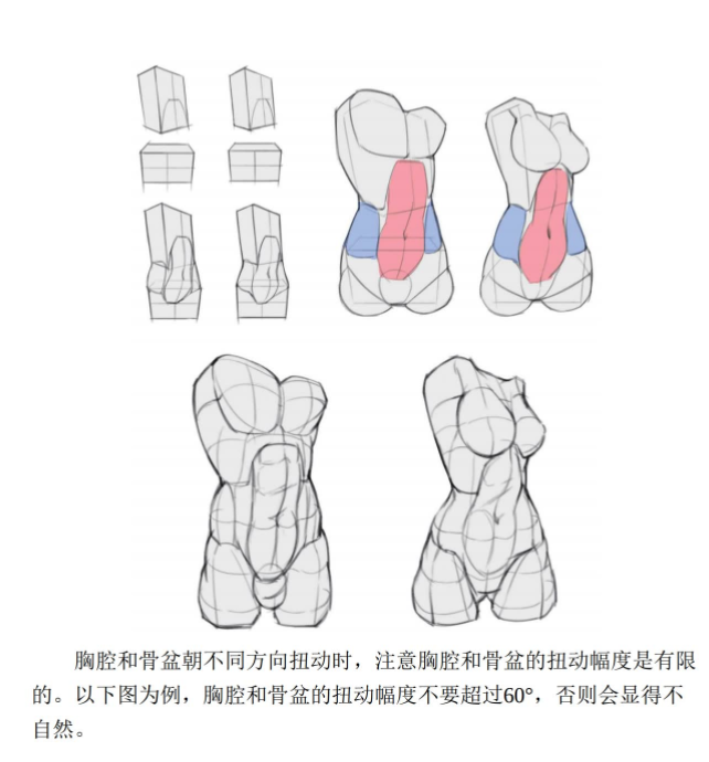 动漫人体结构表现技法专项训练(PDF版本)